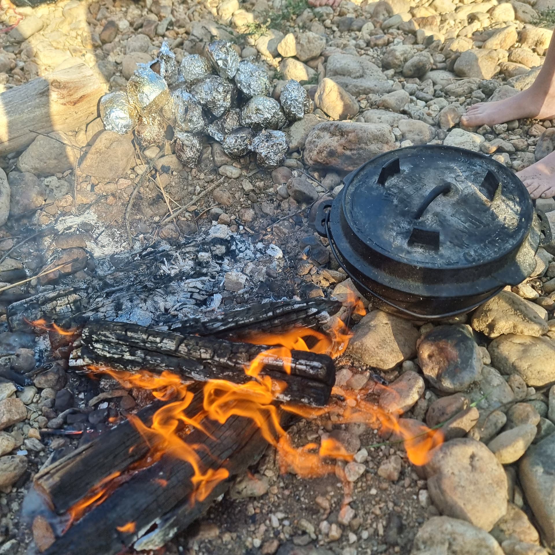 A camp oven and foil parcels cooking on a camp fire